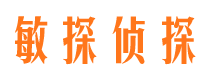 湘阴市私家侦探